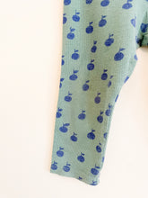 Load image into Gallery viewer, Apple Leggings