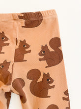 Lade das Bild in den Galerie-Viewer, Squirrel Legging
