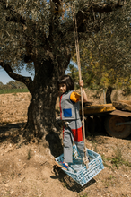 Load image into Gallery viewer, Joan Waistcoat