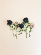 Lade das Bild in den Galerie-Viewer, Woven Scarf