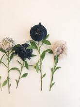 Lade das Bild in den Galerie-Viewer, Woven Scarf