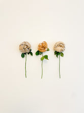 Load image into Gallery viewer, Quilted Bandana