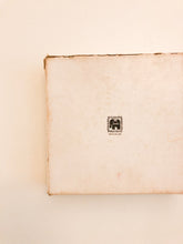 Load image into Gallery viewer, Circus Dominos