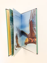 Load image into Gallery viewer, Animaux