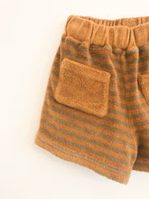 Load image into Gallery viewer, Sponge Shorts