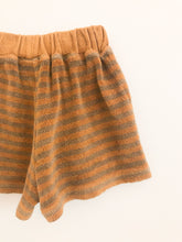 Load image into Gallery viewer, Sponge Shorts