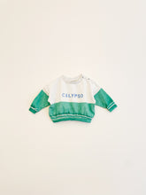 Load image into Gallery viewer, Calypso Sweatshirt
