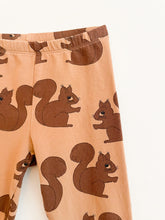 Load image into Gallery viewer, Squirrel Legging
