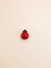 Load image into Gallery viewer, Ladybug Piggy Bank
