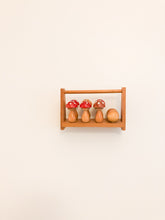 Load image into Gallery viewer, Mushroom Bowling Set
